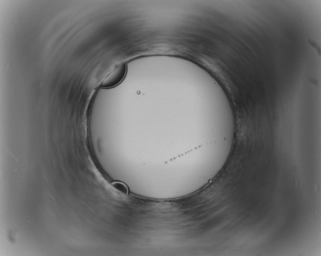 X0000102231479200808081336