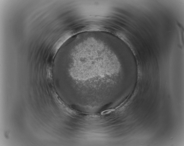 X0000102231481200808081336