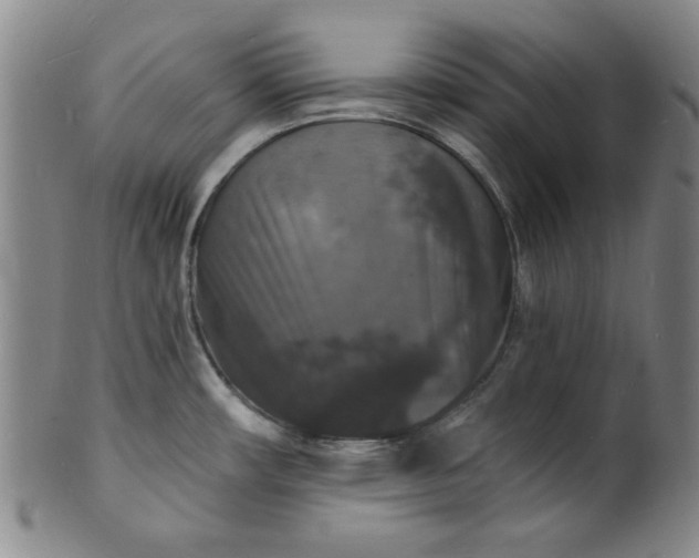 X0000102231482200808081336