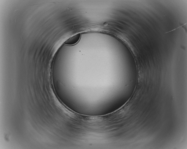 X0000102231483200808081336