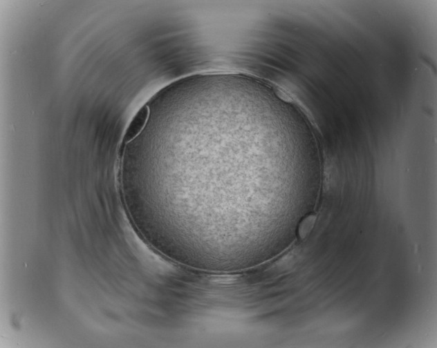 X0000102231484200808081336