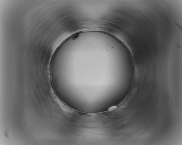 X0000102231485200808081336