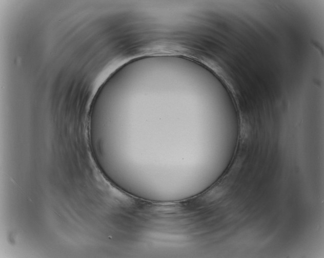 X0000102231486200808081336