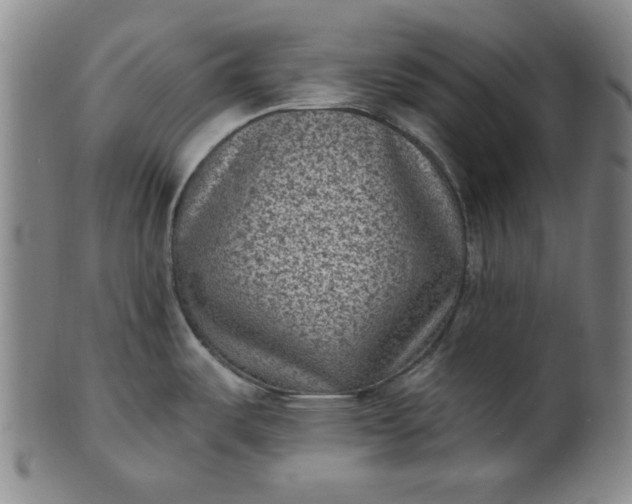 X0000102231487200808081336