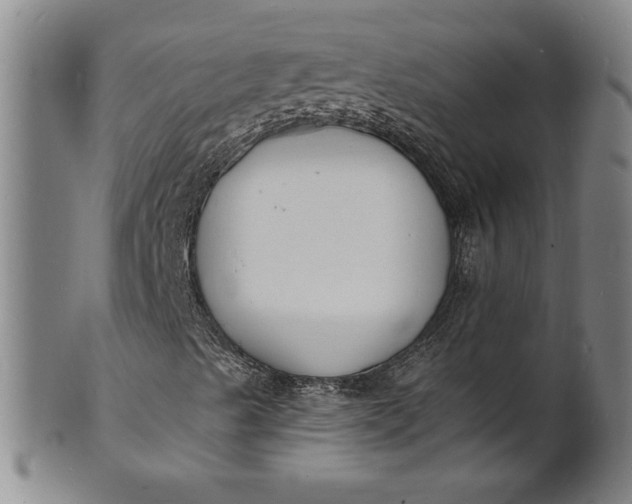 X0000102231489200808081335