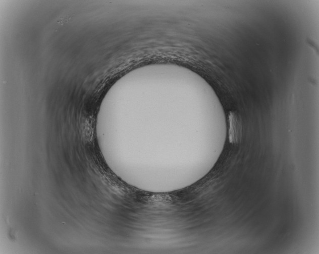 X0000102231491200808081335