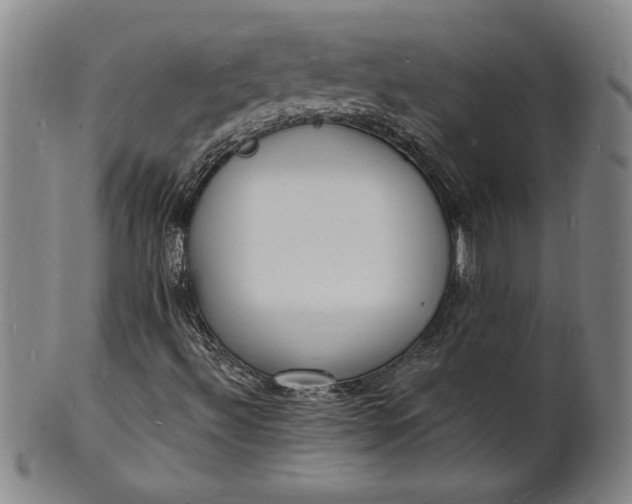 X0000102231492200808081335