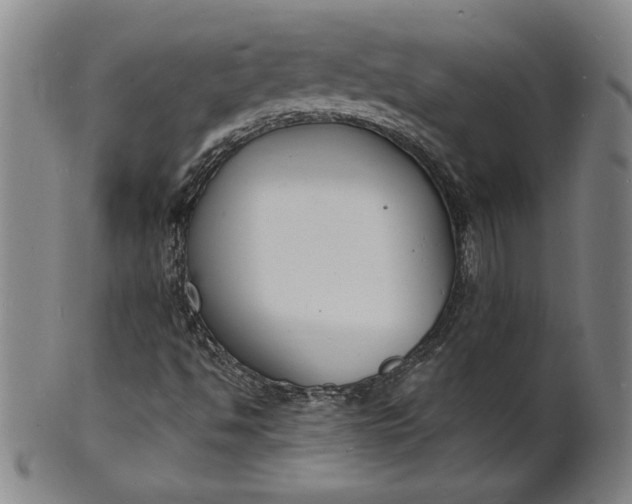 X0000102231494200808081335