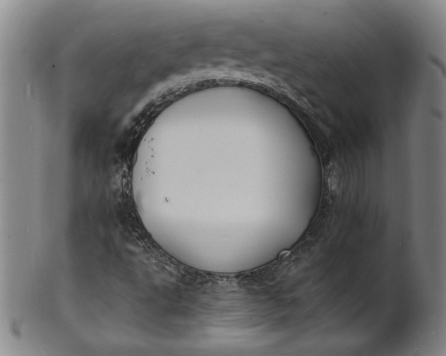 X0000102231495200808081335