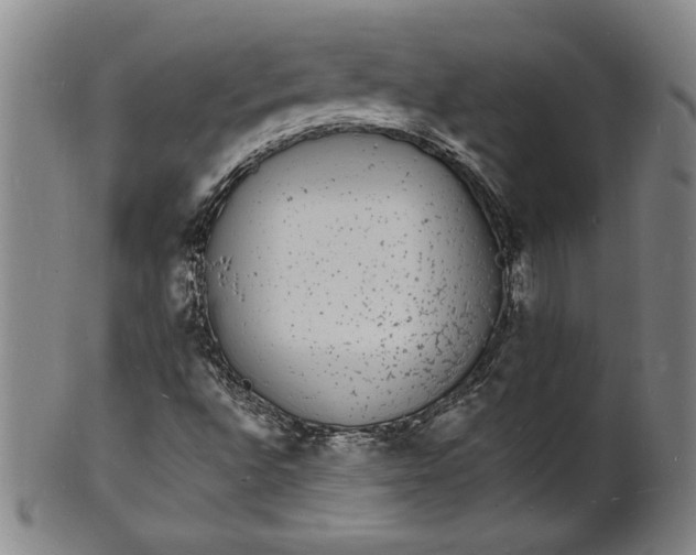 X0000102231496200808081335