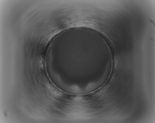 X0000102231497200808081335