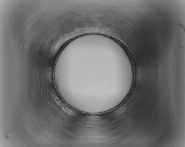 X0000102231499200808081335
