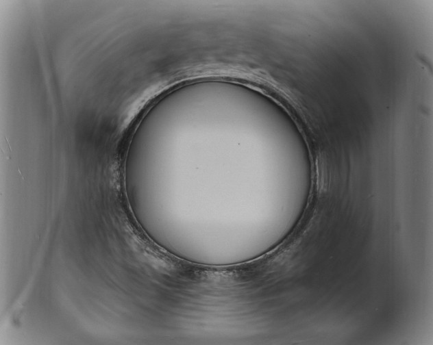 X0000102231501200808081335