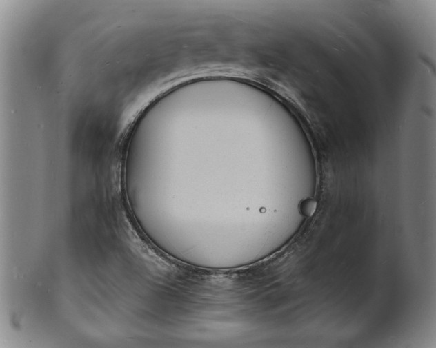 X0000102231504200808081335