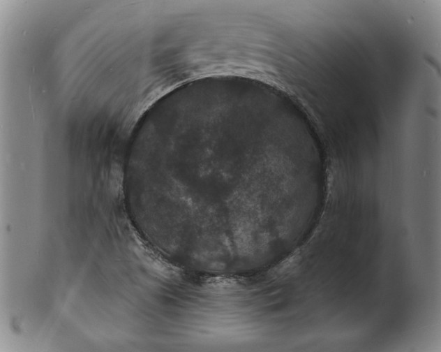 X0000102231505200808081335