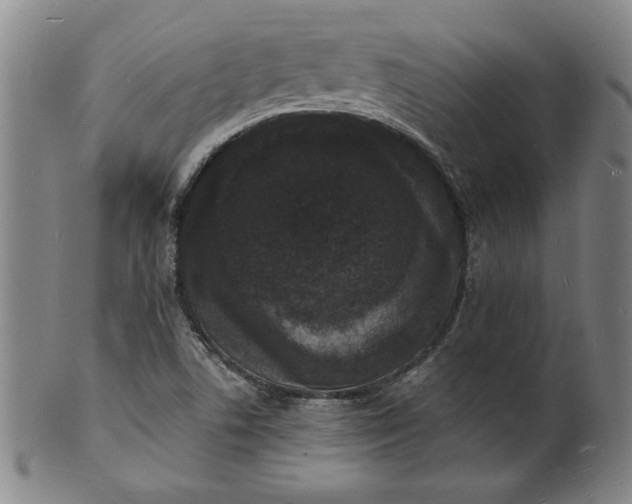 X0000102231506200808081335