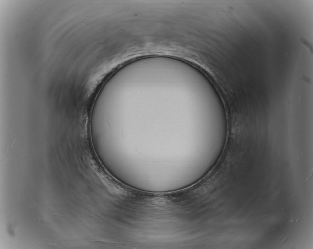 X0000102231507200808081335
