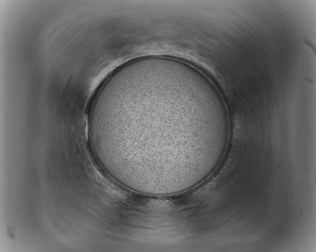 X0000102231509200808081335
