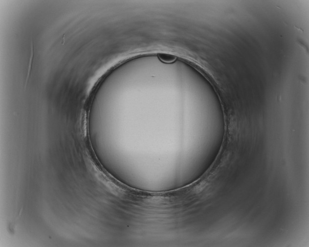 X0000102231510200808081335