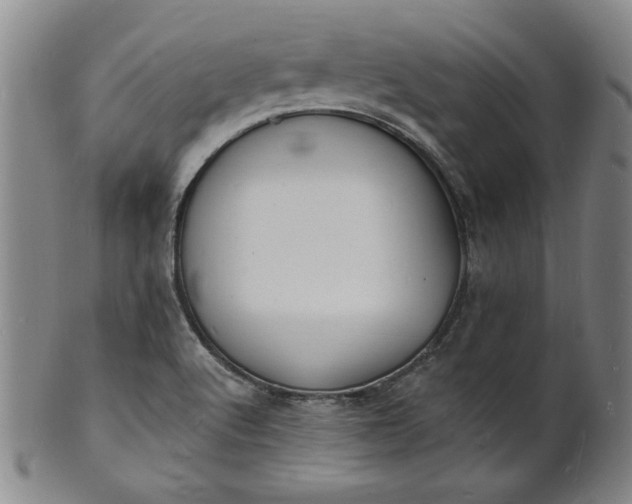 X0000102231512200808081335