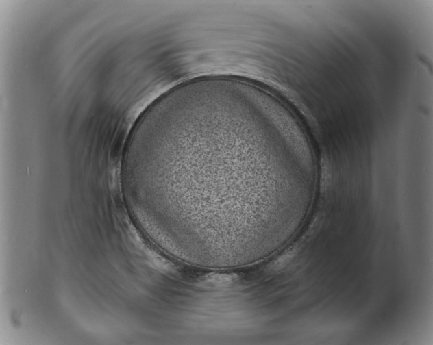 X0000102231513200808081335