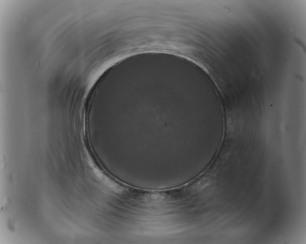 X0000102231515200808081335