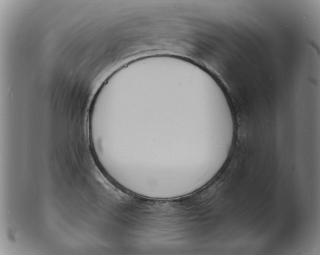 X0000102231516200808081335