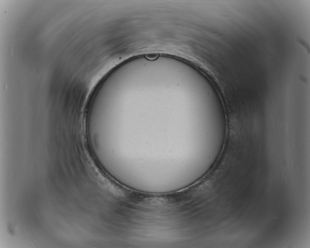 X0000102231517200808081335