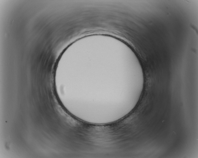 X0000102231518200808081335