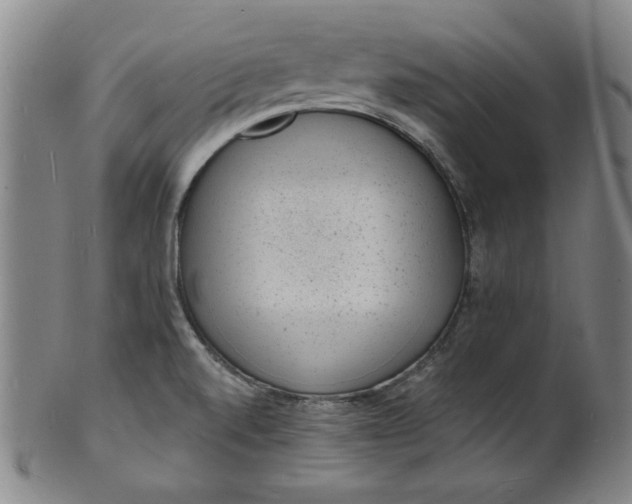 X0000102231520200808081335