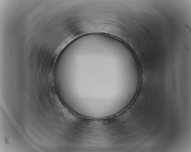 X0000102231521200808081335