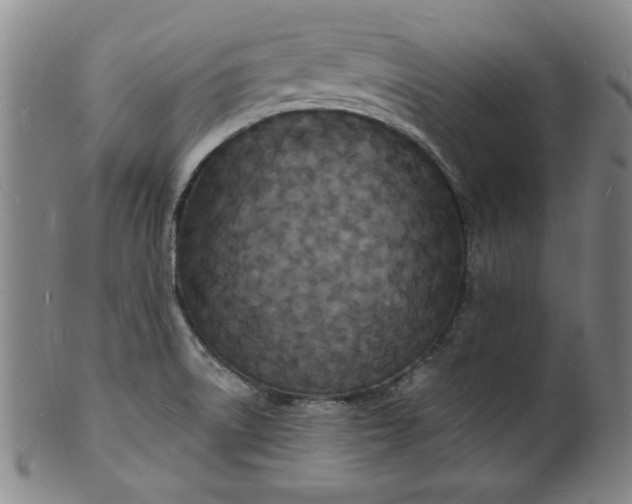 X0000102231522200808081335