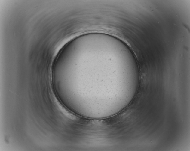 X0000102231523200808081335