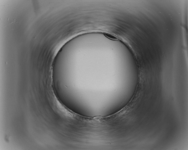 X0000102231524200808081335