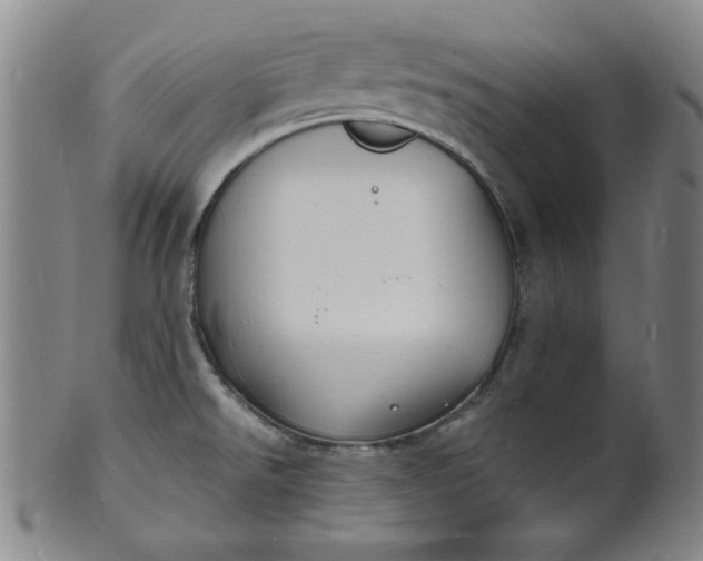 X0000102231526200808081335