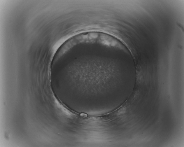 X0000102231527200808081335