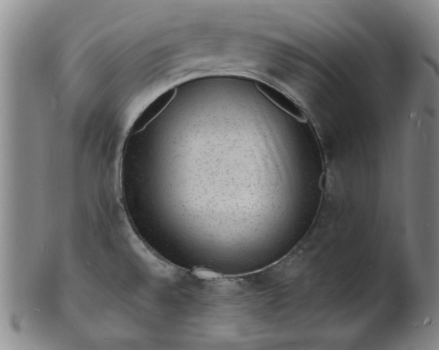 X0000102231528200808081335
