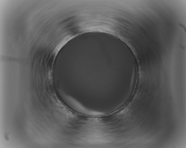 X0000102231529200808081335