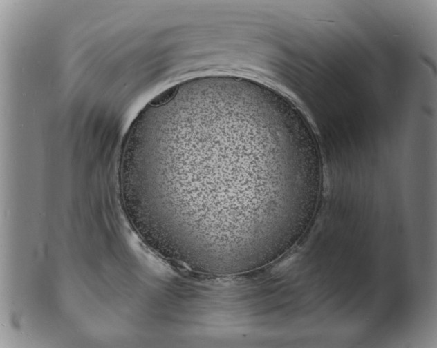 X0000102231530200808081335