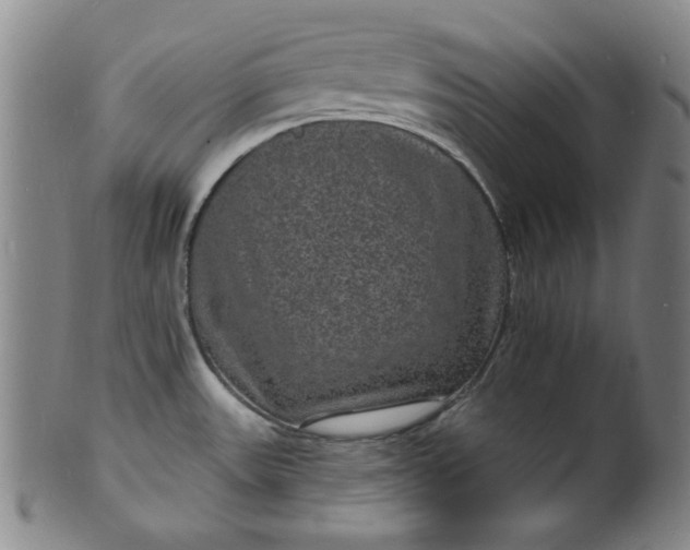 X0000102231531200808081335