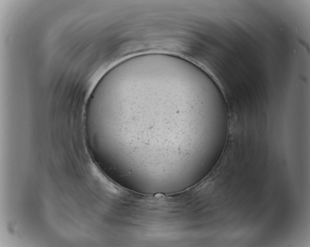 X0000102231532200808081335