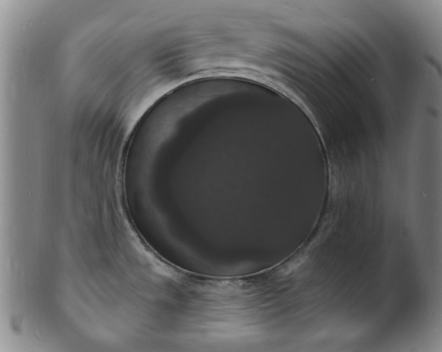 X0000102231533200808081335