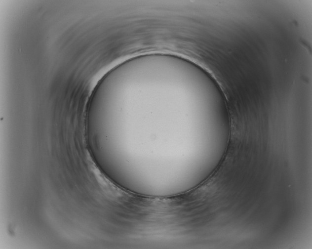 X0000102231534200808081335