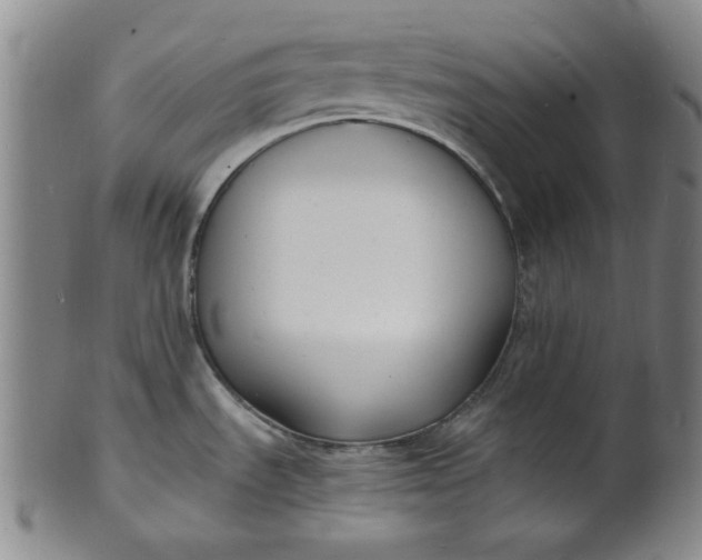 X0000102231535200808081335