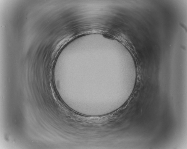 X0000102230001200808151741