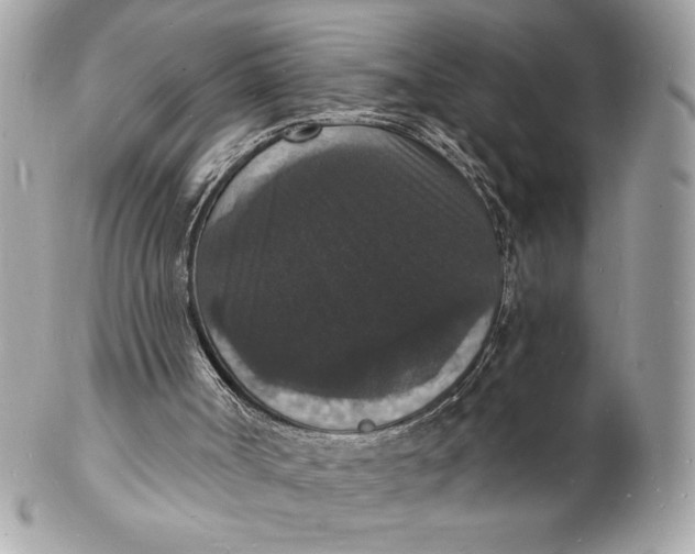 X0000102230002200808151741