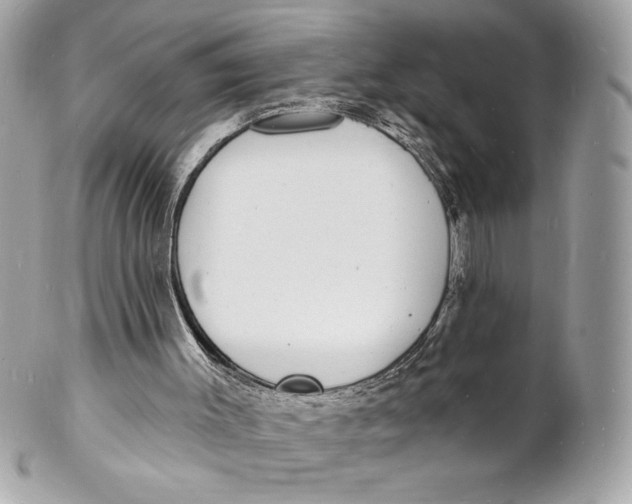 X0000102230003200808151741