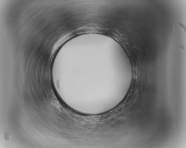 X0000102230004200808151741