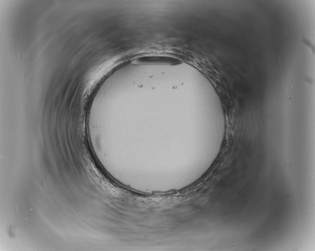 X0000102230005200808151741