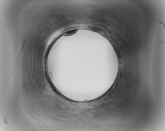 X0000102230006200808151741